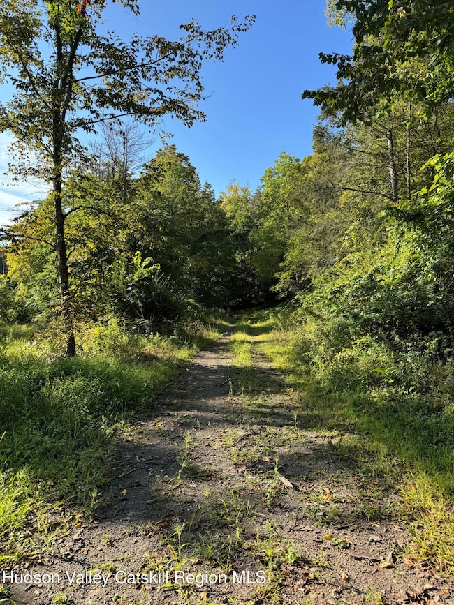 L2 High Rock Rd, West Coxsackie, NY 12192 - photo 3