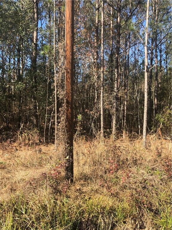 5.31 ACRES MOCKINGBIRD LOOP