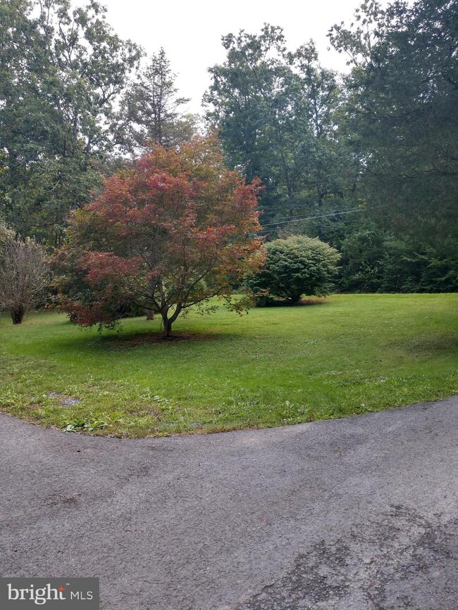 876 Clouser Hollow Rd, New Bloomfield, PA 17068 - photo 6