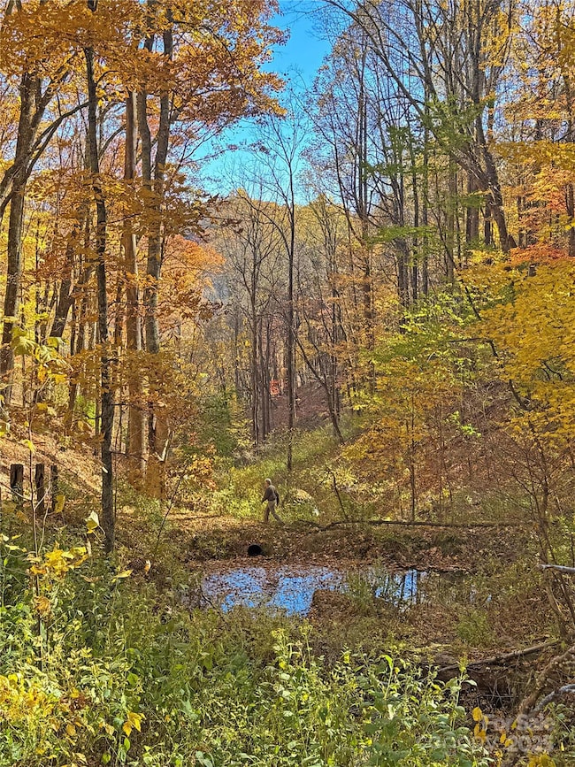 890 Panther Branch Rd, Hot Springs, NC 28743 - photo 5