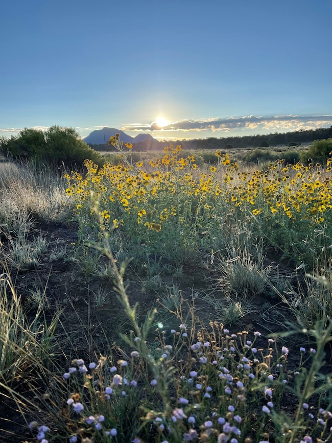 165 Reid Rd, Datil, NM 87821 - photo 3