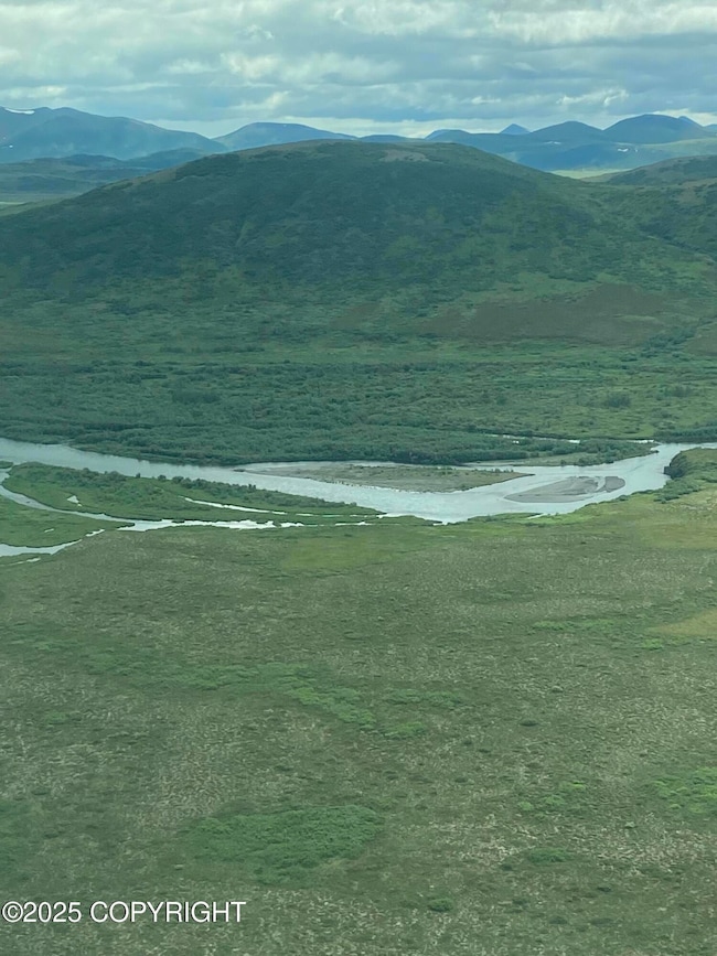 L1 Goodnews River, Goodnews Bay, AK 99589 - photo 5