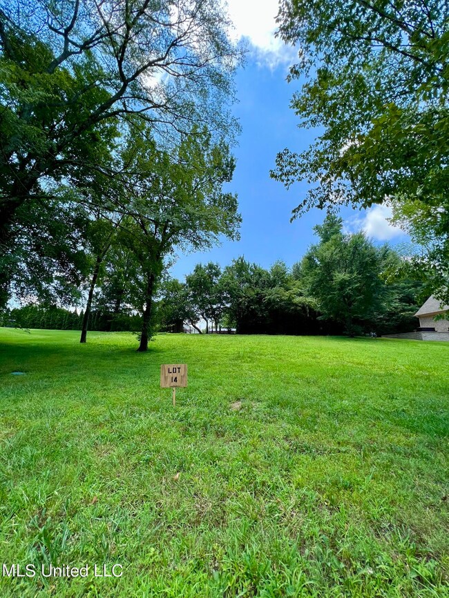 393 Beacon Hill Dr, Hernando, MS 38632 - photo 3