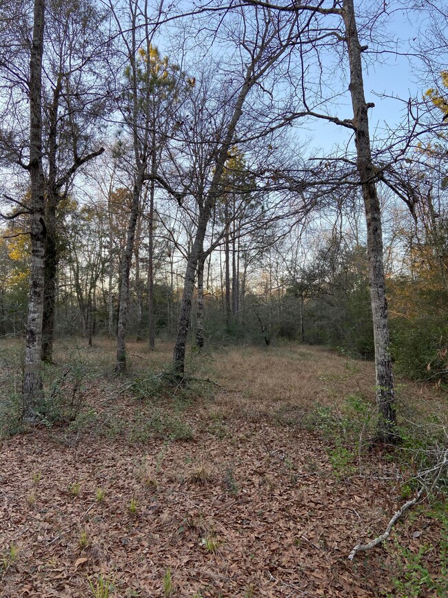 old hwy 49