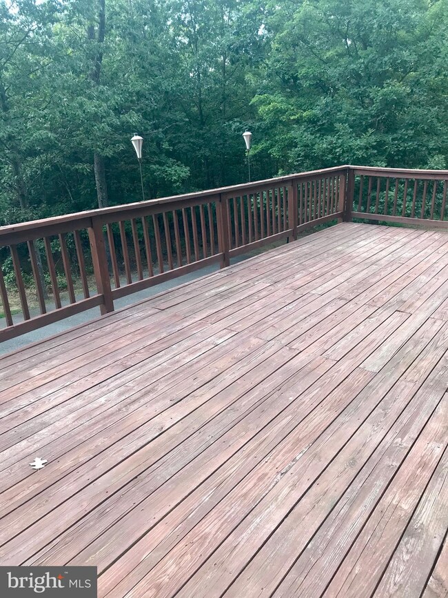 74 Donegal Ln, Berkeley Springs, WV 25411 - photo 7