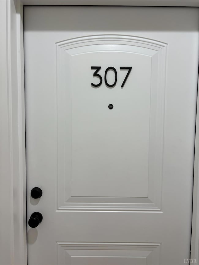 420 Capstone Dr unit 307, Lynchburg, VA 24502 - photo 2