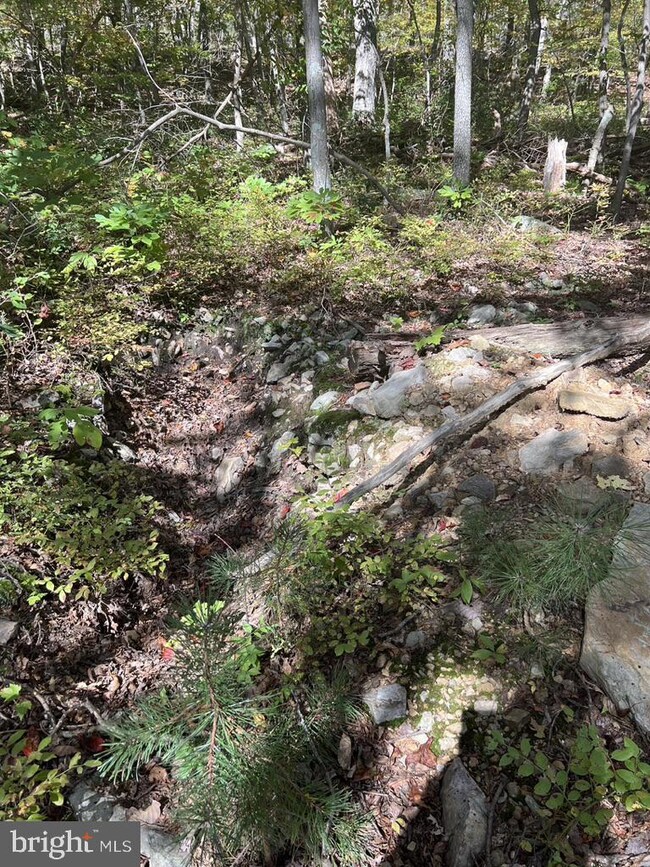 Lot 12 Mountain Falls Blvd, Winchester, VA 22602 - photo 5