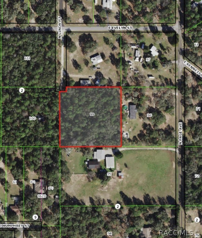 3501 N Linda Point, Hernando, FL 34442 - photo 6