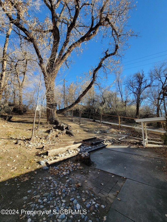 Backyard 3
