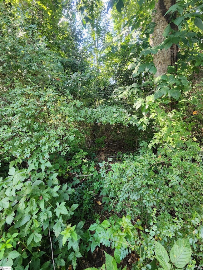 103 Quail Haven Dr unit 493 Odom Road, Easley, SC 29642 - photo 2