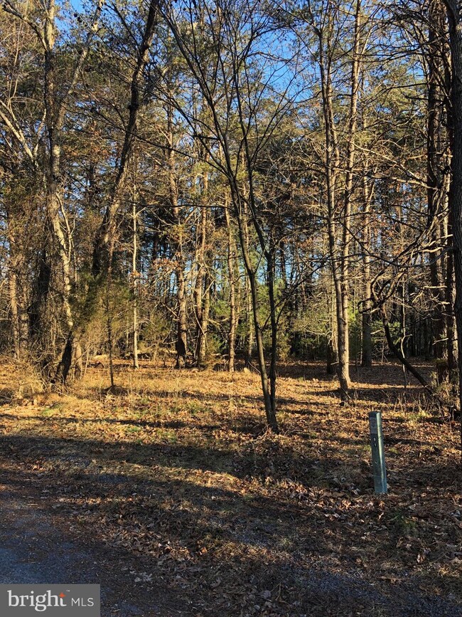 0 Longstreet Rd, Basye, VA 22810 - photo 3