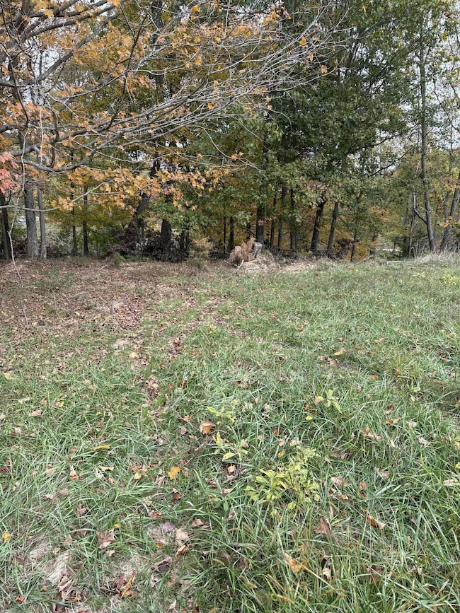 Pine Grove Ch Rd, Vanceburg, KY 41179 - photo 5