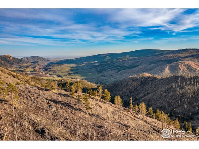 0 Spiritwood Ln unit 946294, Bellvue, CO 80512 - photo 3