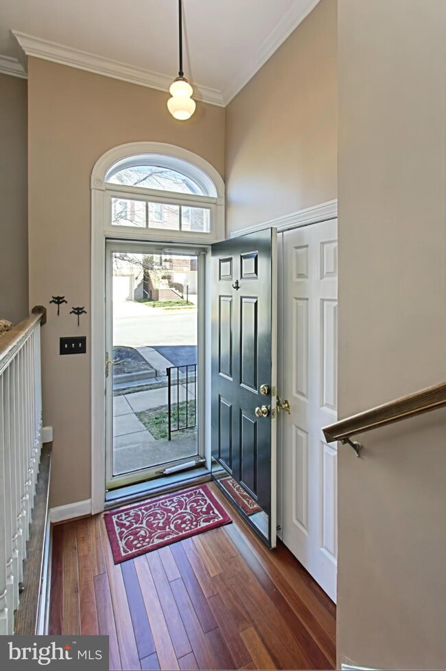 3641 Ransom Place, Alexandria, VA 22306 - photo 6