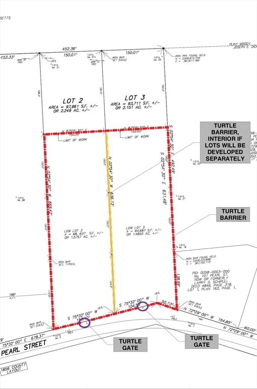 125 Pearl St, South Hadley, MA 01075 - photo 2