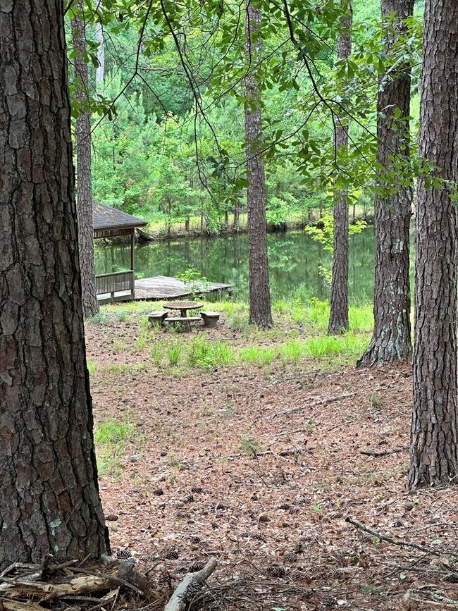 12200 County Line Rd, Midland, GA 31820 - photo 4