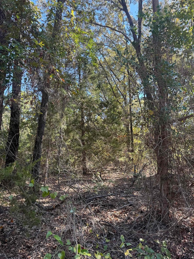 TBD County Road 3245, Quitman, TX 75783 - photo 5