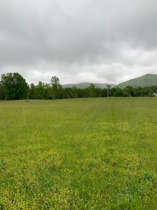 Lt 15 Old Mountain Rd, Greeneville, TN 37743 - photo 7