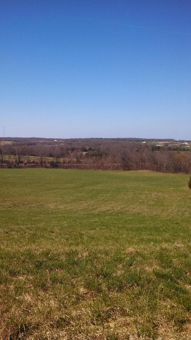 Bountiful field