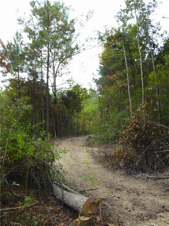 HEAVILY WOODED ON 4 ACRE PARCEL