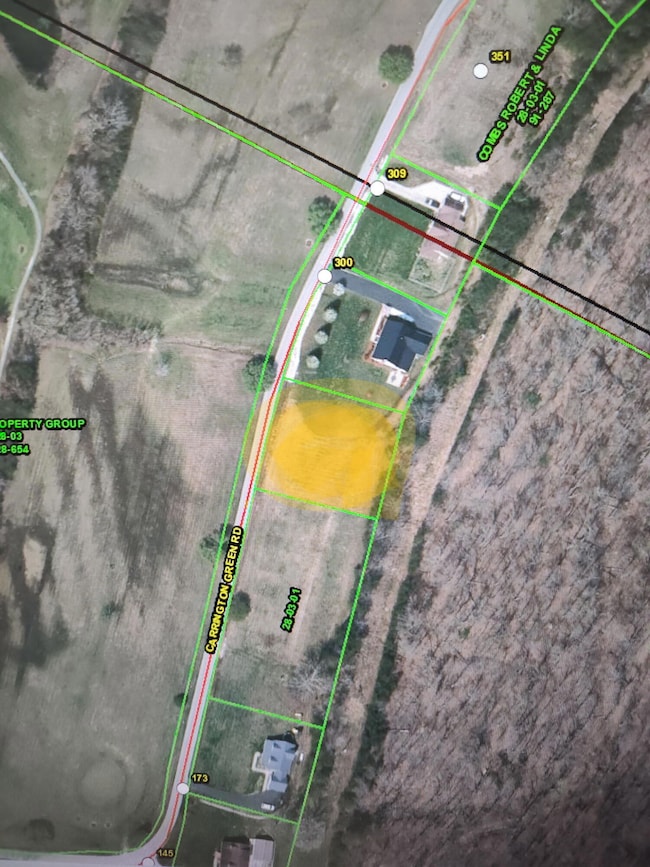 TBD Carrington Green Rd, Sudith, KY 40371 - photo 2