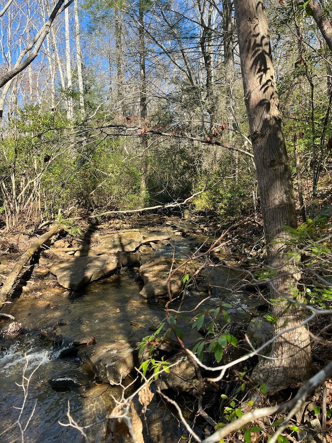 5 Acres Hendon Rd, Graysville, TN 37338 - photo 2