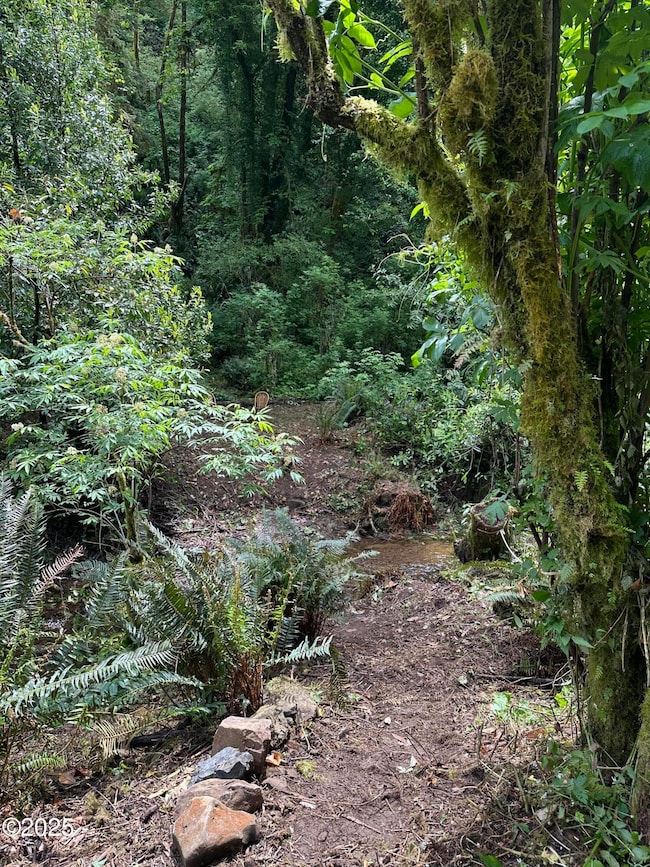 Risley Creek