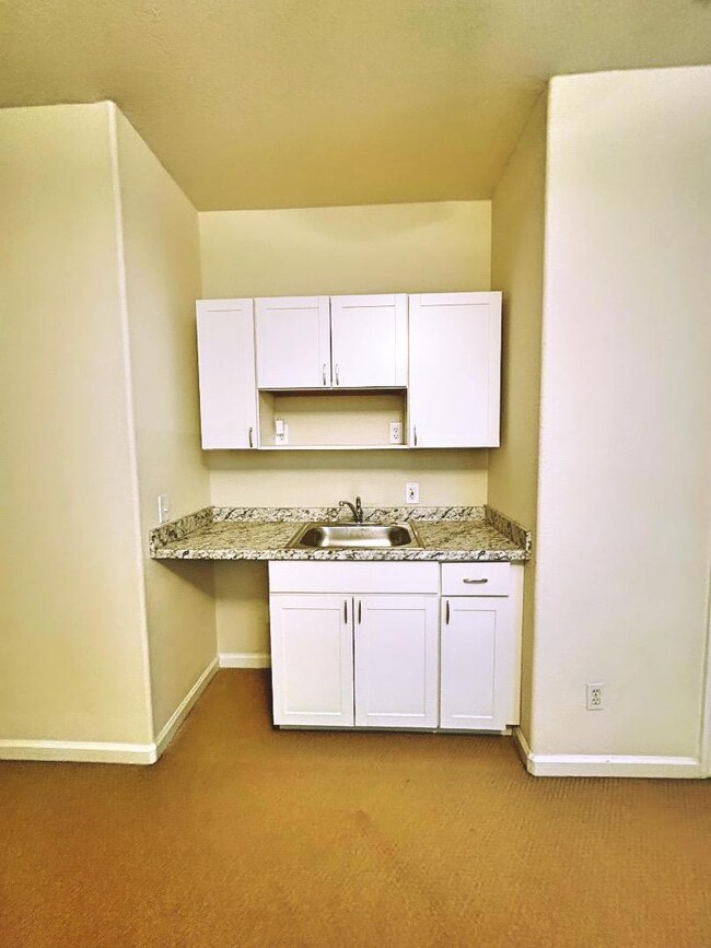 784 Begonia Dr unit ADU, Brentwood, CA 94513 - photo 4