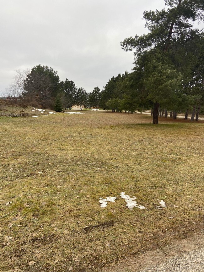 0 Robinson St unit 201816502, Vanderbilt, MI 49795 - photo 5