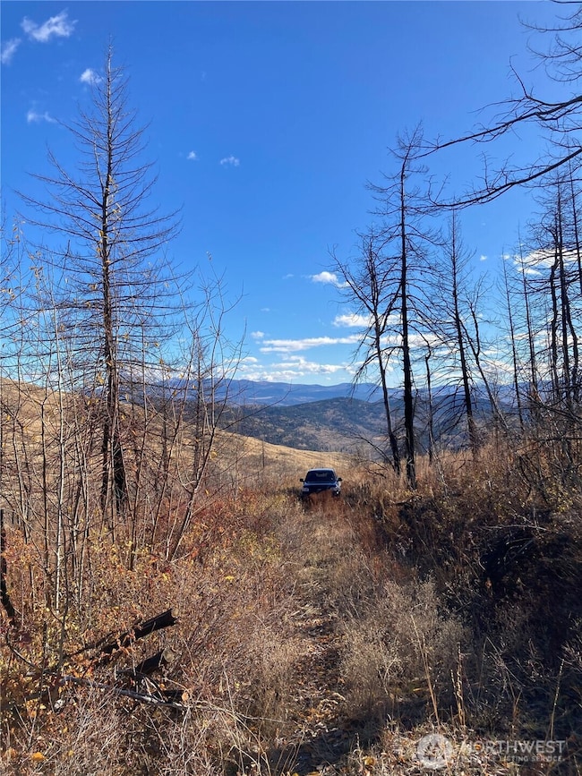 1111 Bottom Rd, Tonasket, WA 98855 - photo 7