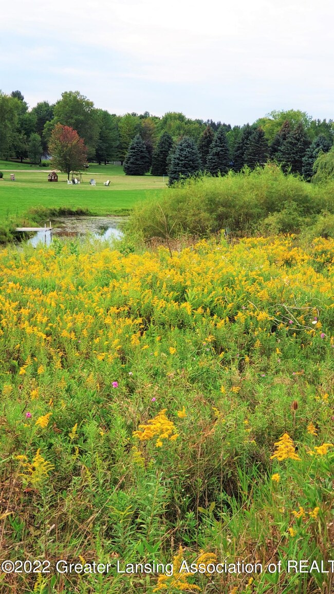 Delta River 2