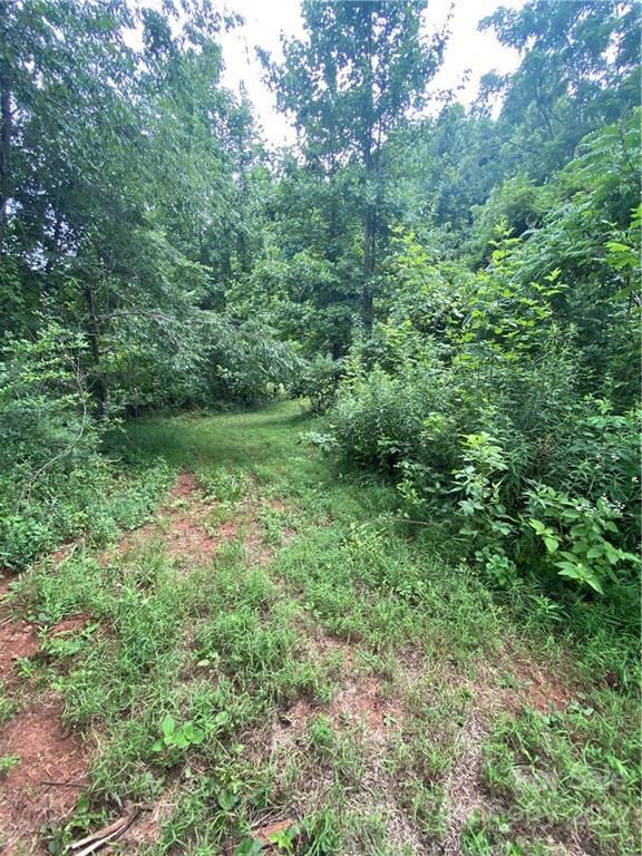 99999 Watsell Dr, Leicester, NC 28748 - photo 4