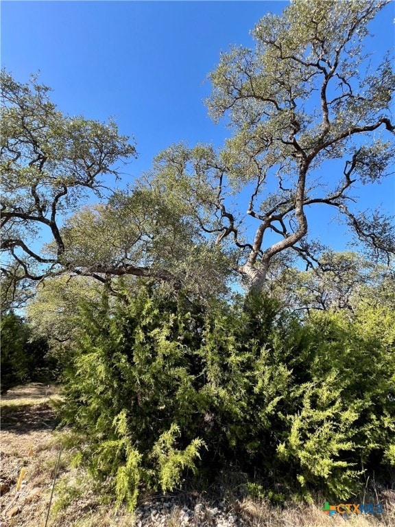 1215 Powder Ridge, New Braunfels, TX 78132 - photo 3