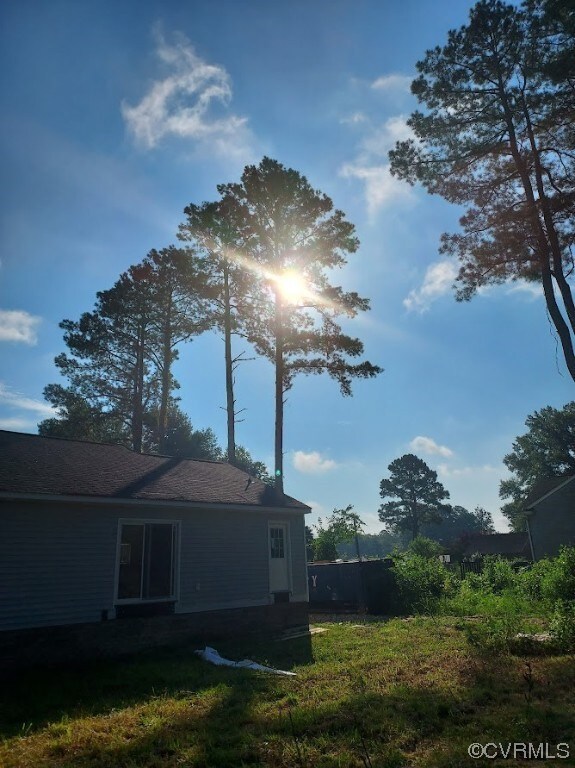 Large Shade Trees