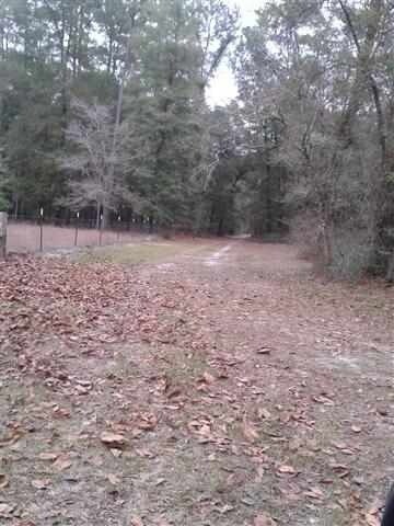 66 Westmarch Rd, Crawfordville, FL 32327 - photo 2