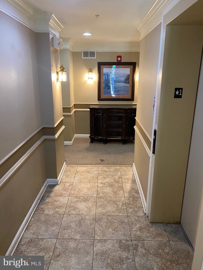 7230 Darby Downs unit O, Elkridge, MD 21075 - photo 4