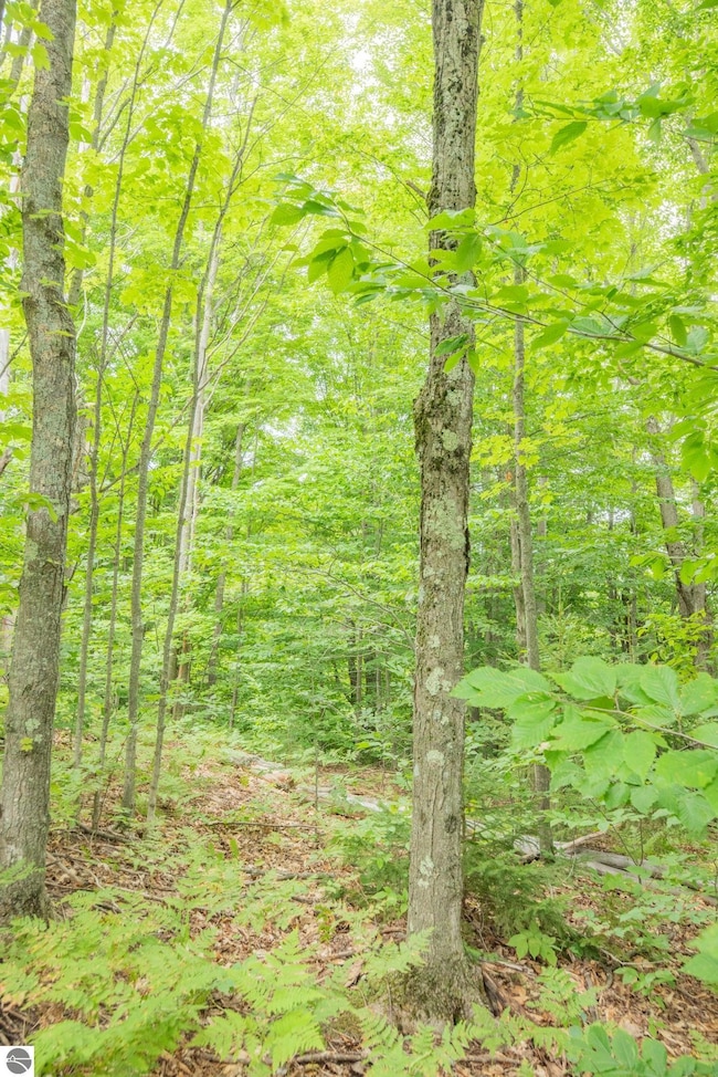 00 Hansel Strause Rd E, Custer Township, MI 49615 - photo 6