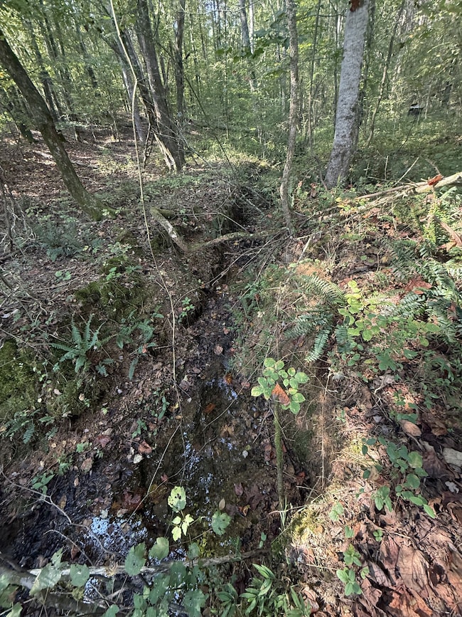 0 Waynesboro Hwy unit RTC2991221, Waynesboro, TN 38485 - photo 4