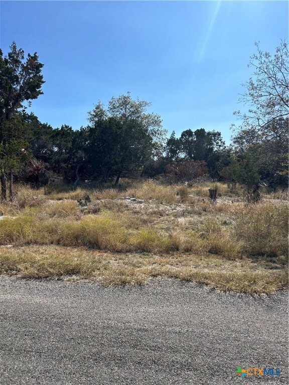 15818 Goliad Cir, Temple, TX 76502 - photo 2