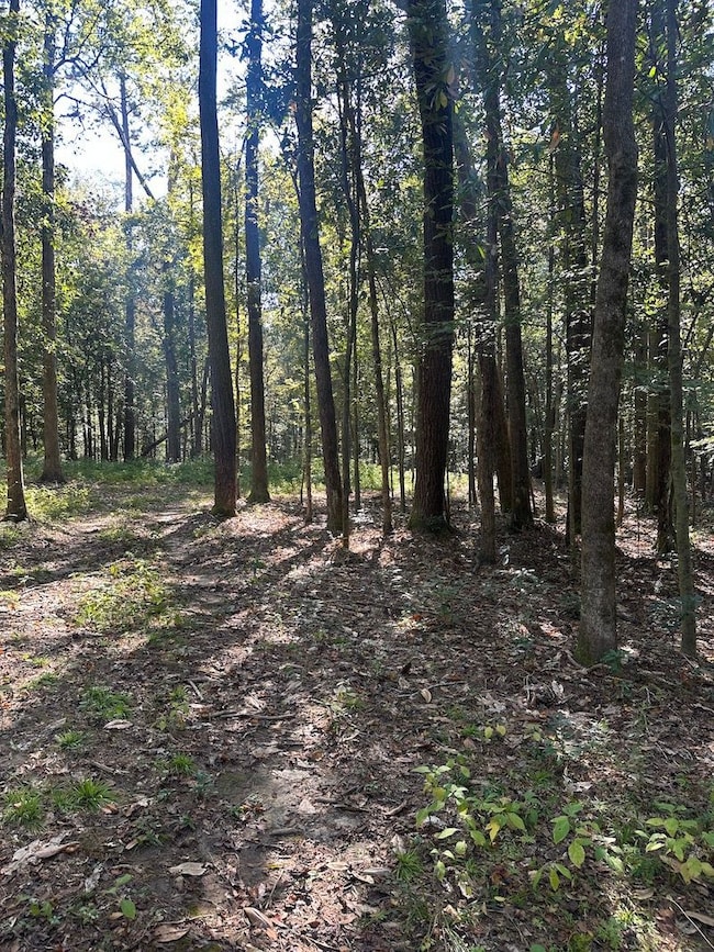 Cutrer Dr unit LotWP001, Osyka, MS 39657 - photo 6