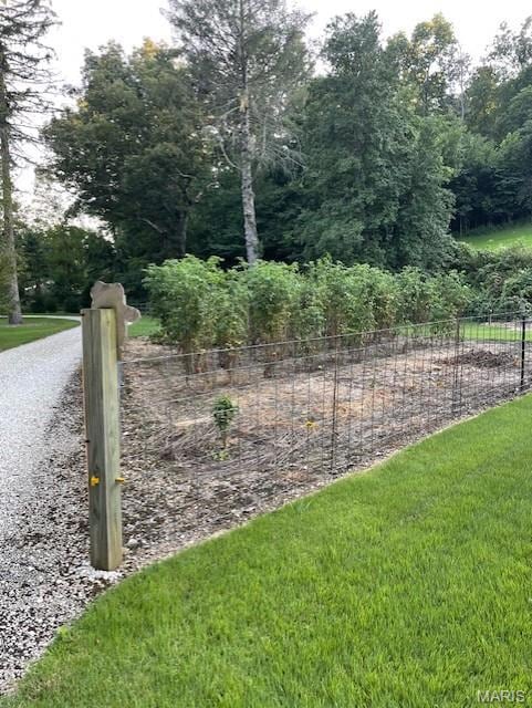 Garden this past summer