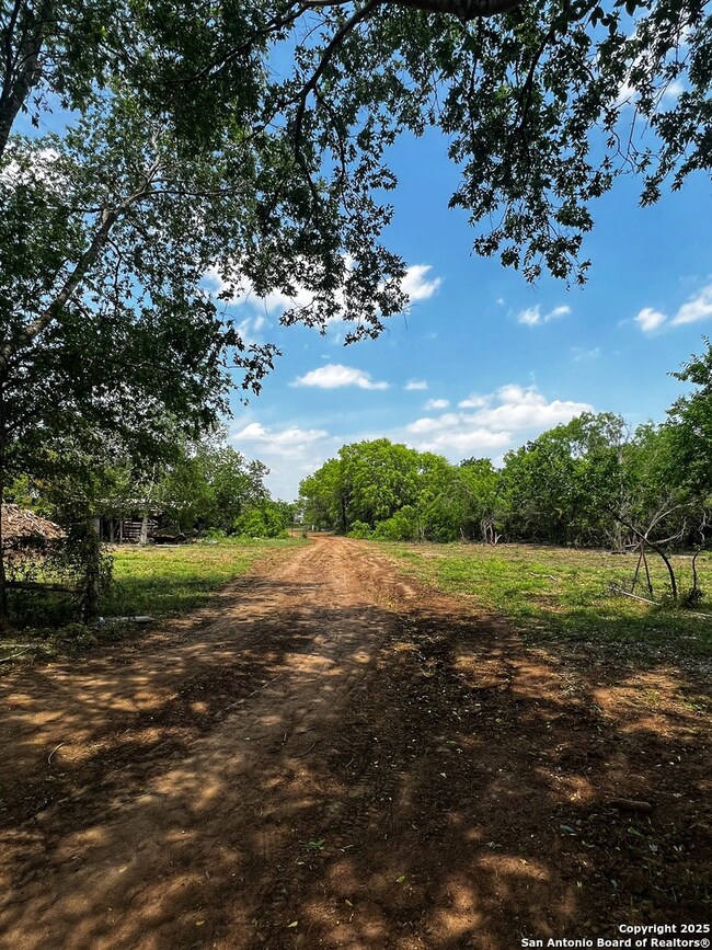 304 Cr 6611 Tract #2, Devine, TX 78016 - photo 4
