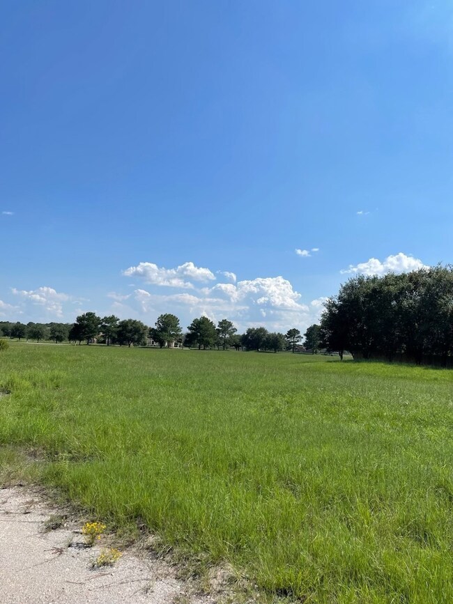 300 Meadow Lake, Magnolia, TX 77355 - photo 3