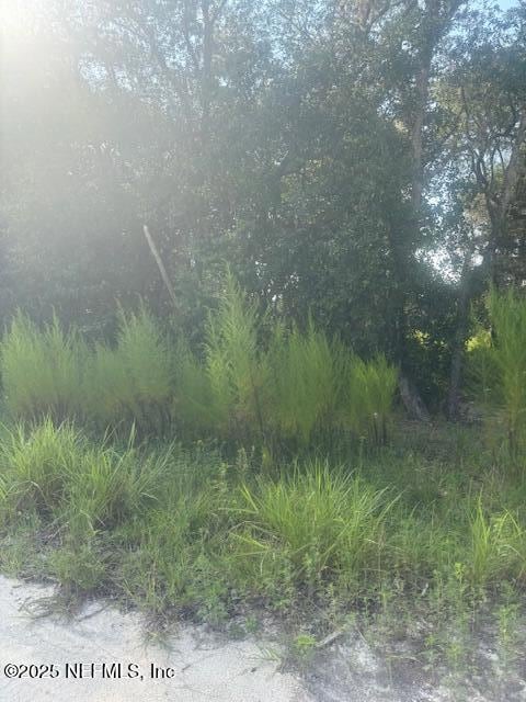 5727 Chippewa Ave, Keystone Heights, FL 32656 - photo 7