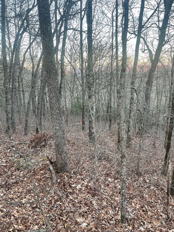 00 Zeb Buchanan Rd, Cullowhee, NC 28723 - photo 4