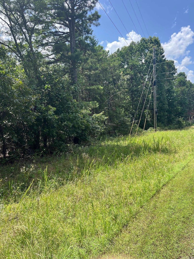 0000 Burnt Ridge Rd, Shirley, AR 72153 - photo 2