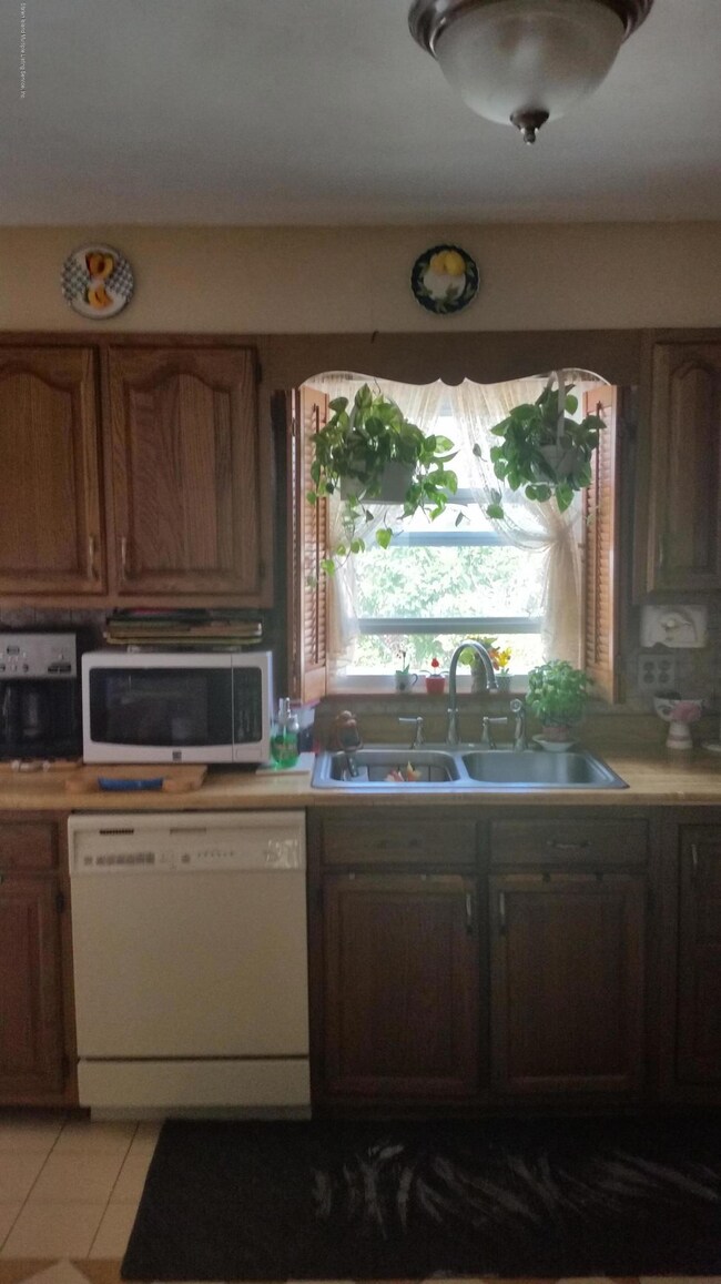 picture8