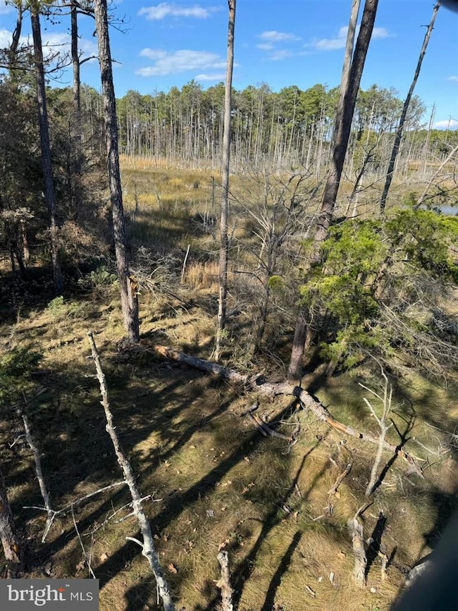 0 Robinson Neck Rd unit MDDO2011116, Taylors Island, MD 21669 - photo 3