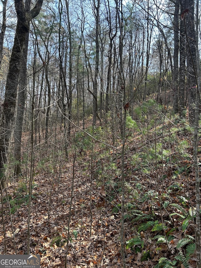 0 Amaryllis Ln unit 10647717, Tiger, GA 30576 - photo 7