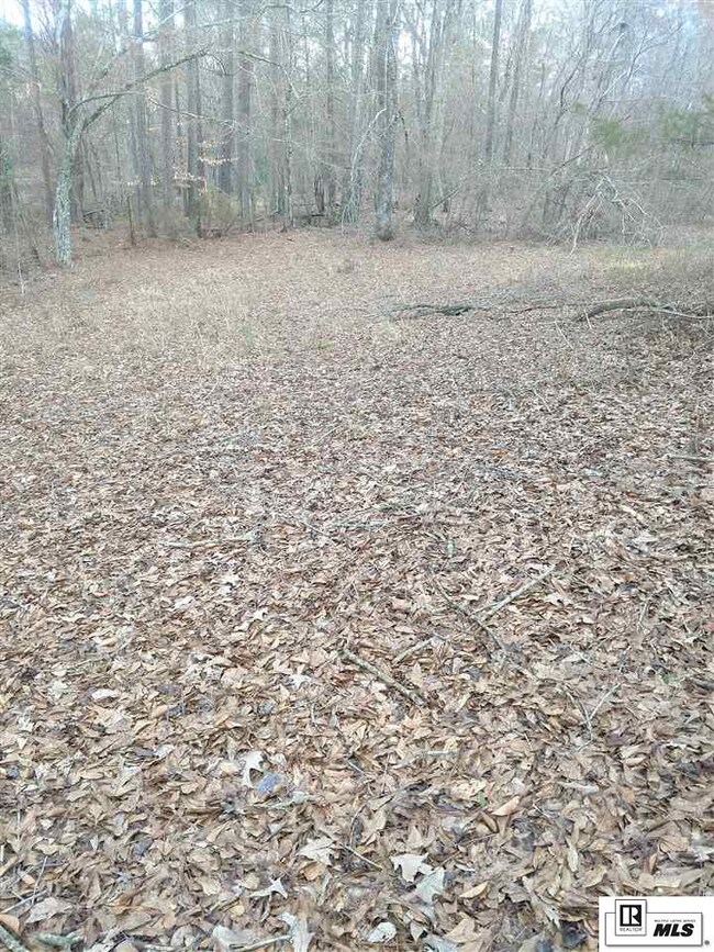 2457 Brownlee Rd unit Tract A, Calhoun, LA 71225 - photo 2